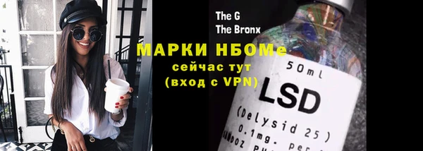 ECSTASY Пересвет
