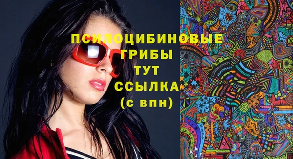 ECSTASY Пересвет